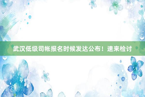 武汉低级司帐报名时候发达公布！速来检讨
